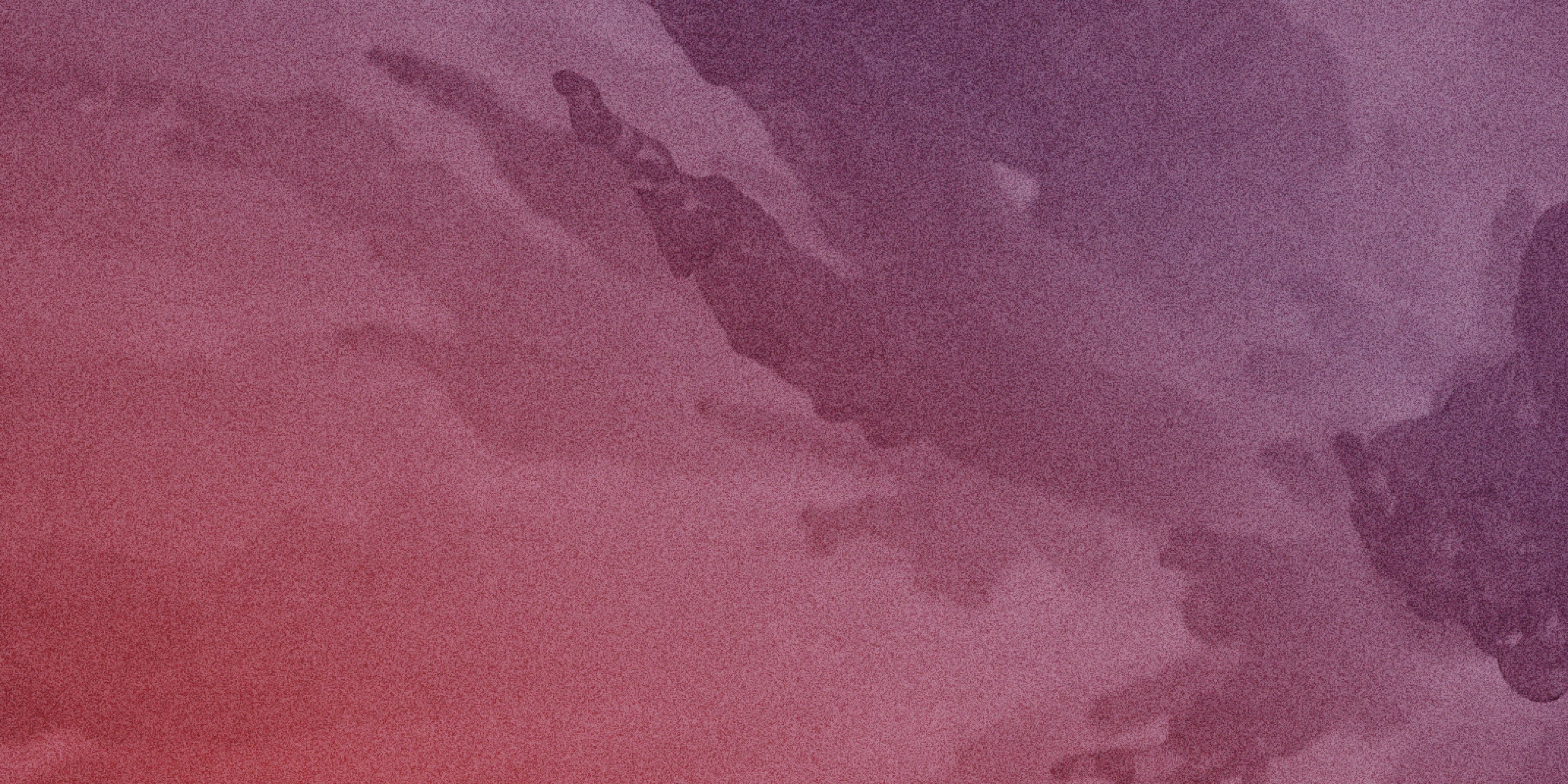 network header